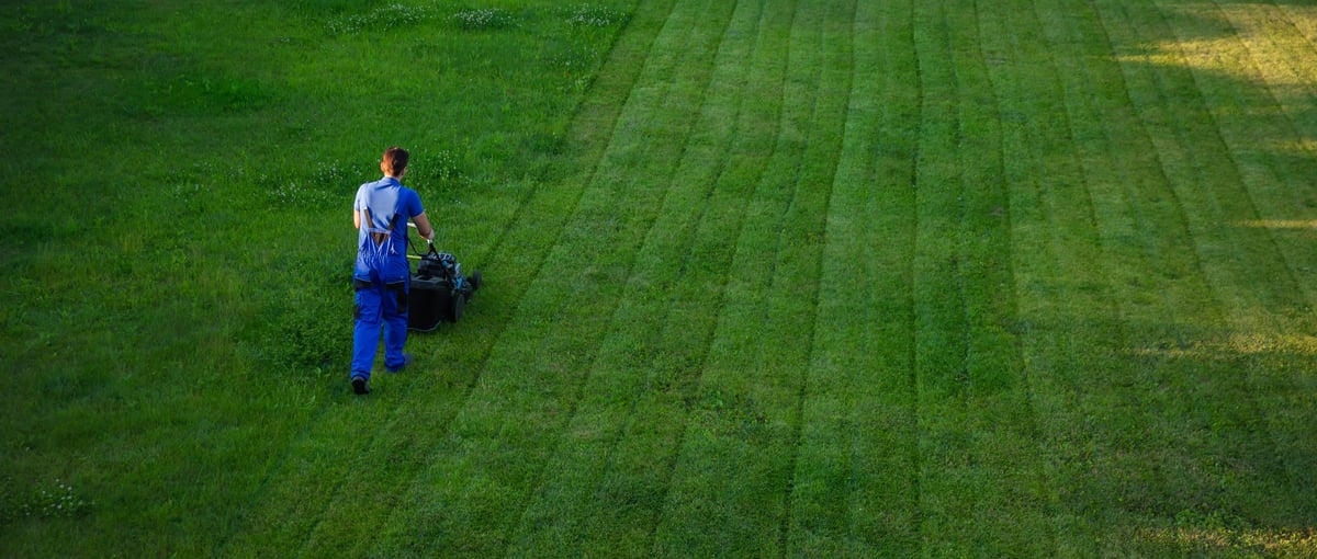Professional lawn aeration