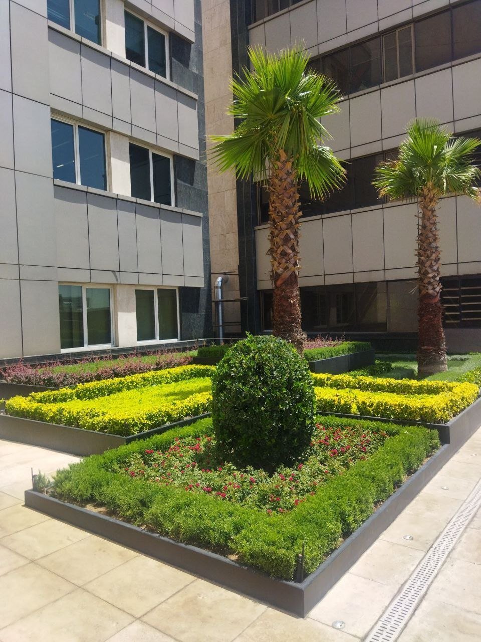 Modern courtyard with manicured gardens, palm trees, and geometric hedge landscaping between contemporary office buildings